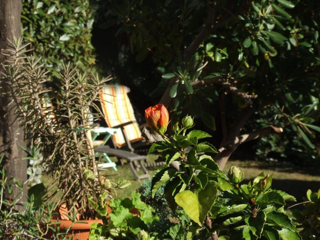 La Masa Hotel Èze Kültér fotó